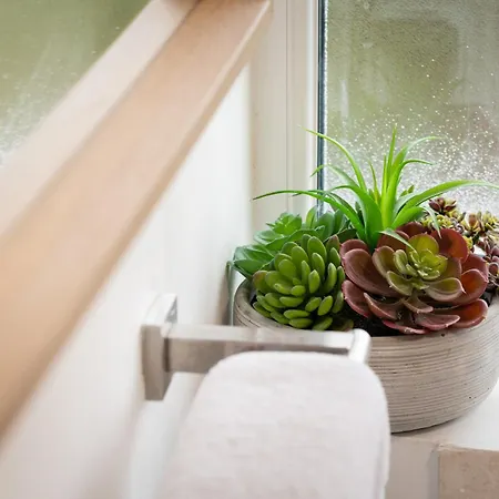 Free Parking Sleeps 7 Garden With Patio Gloucester Road Bristol