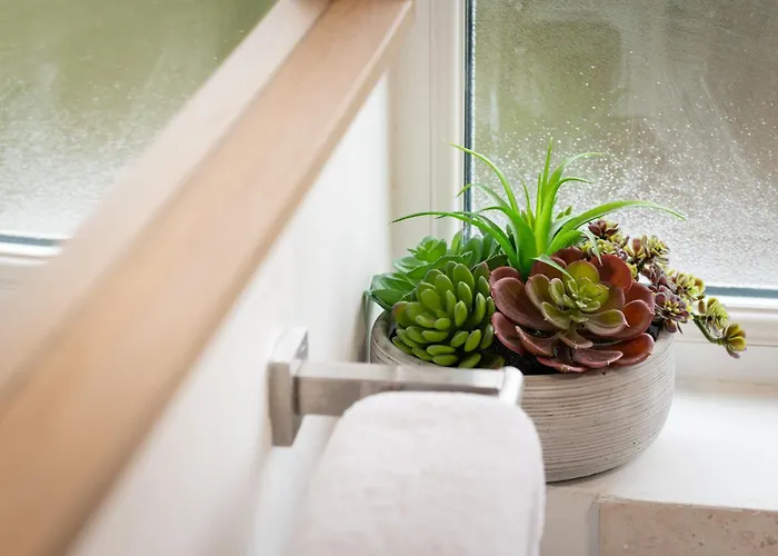 Free Parking Sleeps 7 Garden With Patio Gloucester Road Bristol