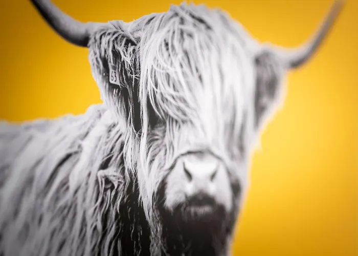 Free Parking Sleeps 7 Garden With Patio Gloucester Road * Bristol