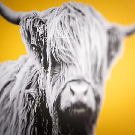 Free Parking Sleeps 7 Garden With Patio Gloucester Road * Bristol